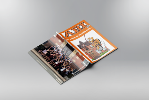 Referenzprojekt Roswitha-Gymnasium Seiten Muster Vorlagen – Abishop abigrafen.de